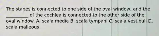 The stapes is connected to one side of the oval window, and the __________ of the cochlea is connected to the other side of the oval window. A. scala media B. scala tympani C. scala vestibuli D. scala malleous