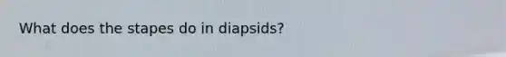 What does the stapes do in diapsids?