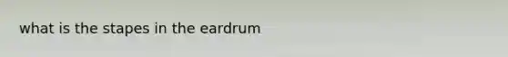 what is the stapes in the eardrum