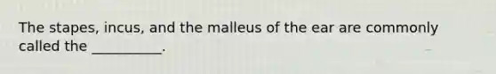 The stapes, incus, and the malleus of the ear are commonly called the __________.