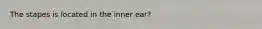 The stapes is located in the inner ear?