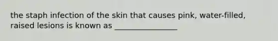 the staph infection of the skin that causes pink, water-filled, raised lesions is known as ________________