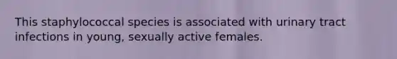 This staphylococcal species is associated with urinary tract infections in young, sexually active females.