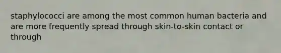 staphylococci are among the most common human bacteria and are more frequently spread through skin-to-skin contact or through