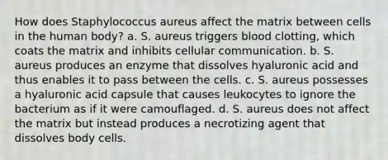 How does Staphylococcus aureus affect the matrix between cells in the human body? a. S. aureus triggers blood clotting, which coats the matrix and inhibits cellular communication. b. S. aureus produces an enzyme that dissolves hyaluronic acid and thus enables it to pass between the cells. c. S. aureus possesses a hyaluronic acid capsule that causes leukocytes to ignore the bacterium as if it were camouflaged. d. S. aureus does not affect the matrix but instead produces a necrotizing agent that dissolves body cells.