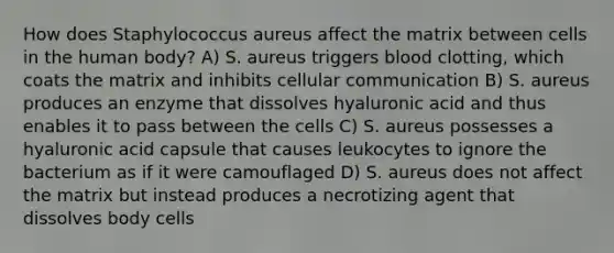 How does Staphylococcus aureus affect the matrix between cells in the human body? A) S. aureus triggers blood clotting, which coats the matrix and inhibits cellular communication B) S. aureus produces an enzyme that dissolves hyaluronic acid and thus enables it to pass between the cells C) S. aureus possesses a hyaluronic acid capsule that causes leukocytes to ignore the bacterium as if it were camouflaged D) S. aureus does not affect the matrix but instead produces a necrotizing agent that dissolves body cells