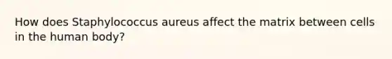 How does Staphylococcus aureus affect the matrix between cells in the human body?