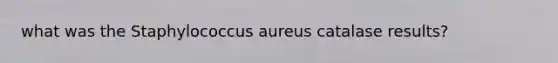 what was the Staphylococcus aureus catalase results?