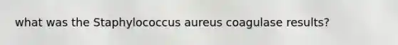 what was the Staphylococcus aureus coagulase results?