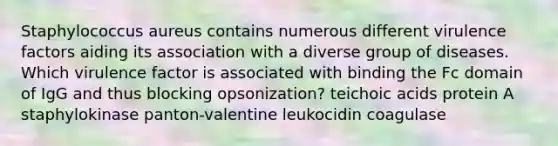 Staphylococcus aureus contains numerous different virulence factors aiding its association with a diverse group of diseases. Which virulence factor is associated with binding the Fc domain of IgG and thus blocking opsonization? teichoic acids protein A staphylokinase panton-valentine leukocidin coagulase