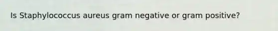 Is Staphylococcus aureus gram negative or gram positive?