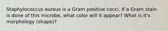 Staphylococcus aureus is a Gram positive cocci. If a Gram stain is done of this microbe, what color will it appear? What is it's morphology (shape)?