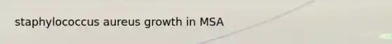 staphylococcus aureus growth in MSA