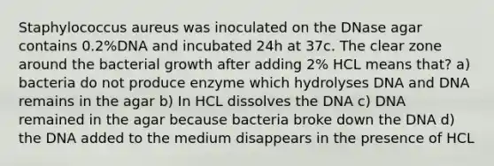 Staphylococcus aureus was inoculated on the DNase agar contains 0.2%DNA and incubated 24h at 37c. The clear zone around the bacterial growth after adding 2% HCL means that? a) bacteria do not produce enzyme which hydrolyses DNA and DNA remains in the agar b) In HCL dissolves the DNA c) DNA remained in the agar because bacteria broke down the DNA d) the DNA added to the medium disappears in the presence of HCL