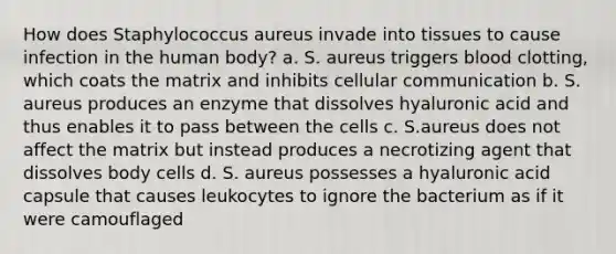 How does Staphylococcus aureus invade into tissues to cause infection in the human body? a. S. aureus triggers blood clotting, which coats the matrix and inhibits cellular communication b. S. aureus produces an enzyme that dissolves hyaluronic acid and thus enables it to pass between the cells c. S.aureus does not affect the matrix but instead produces a necrotizing agent that dissolves body cells d. S. aureus possesses a hyaluronic acid capsule that causes leukocytes to ignore the bacterium as if it were camouflaged