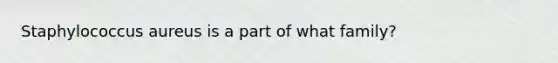 Staphylococcus aureus is a part of what family?