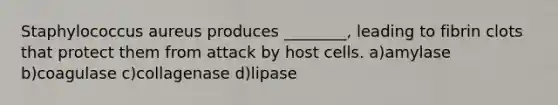 Staphylococcus aureus produces ________, leading to fibrin clots that protect them from attack by host cells. a)amylase b)coagulase c)collagenase d)lipase