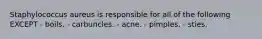 Staphylococcus aureus is responsible for all of the following EXCEPT - boils. - carbuncles. - acne. - pimples. - sties.