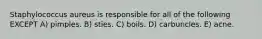 Staphylococcus aureus is responsible for all of the following EXCEPT A) pimples. B) sties. C) boils. D) carbuncles. E) acne.