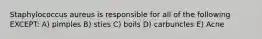 Staphylococcus aureus is responsible for all of the following EXCEPT: A) pimples B) sties C) boils D) carbuncles E) Acne