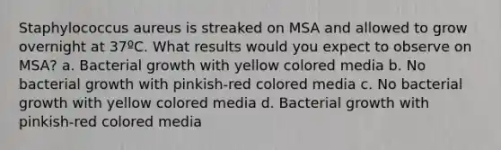 Staphylococcus aureus is streaked on MSA and allowed to grow overnight at 37ºC. What results would you expect to observe on MSA? a. Bacterial growth with yellow colored media b. No bacterial growth with pinkish-red colored media c. No bacterial growth with yellow colored media d. Bacterial growth with pinkish-red colored media