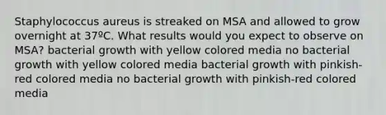 Staphylococcus aureus is streaked on MSA and allowed to grow overnight at 37ºC. What results would you expect to observe on MSA? bacterial growth with yellow colored media no bacterial growth with yellow colored media bacterial growth with pinkish-red colored media no bacterial growth with pinkish-red colored media