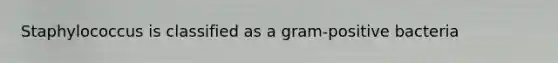 Staphylococcus is classified as a gram-positive bacteria