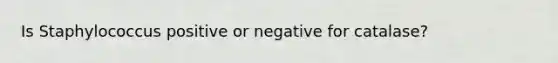 Is Staphylococcus positive or negative for catalase?