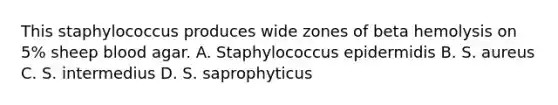 This staphylococcus produces wide zones of beta hemolysis on 5% sheep blood agar. A. Staphylococcus epidermidis B. S. aureus C. S. intermedius D. S. saprophyticus