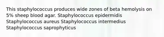 This staphylococcus produces wide zones of beta hemolysis on 5% sheep blood agar. Staphylococcus epidermidis Staphylococcus aureus Staphylococcus intermedius Staphylococcus saprophyticus