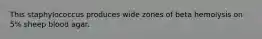 This staphylococcus produces wide zones of beta hemolysis on 5% sheep blood agar.