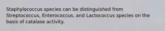 Staphylococcus species can be distinguished from Streptococcus, Enterococcus, and Lactococcus species on the basis of catalase activity.