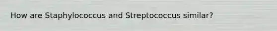 How are Staphylococcus and Streptococcus similar?