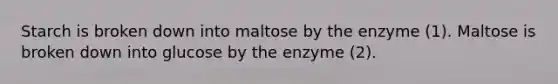 Starch is broken down into maltose by the enzyme (1). Maltose is broken down into glucose by the enzyme (2).