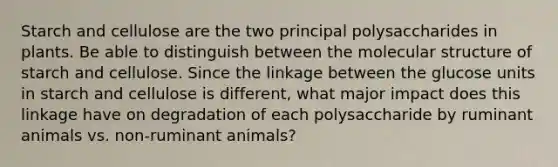 Starch and cellulose are the two principal polysaccharides in plants. Be able to distinguish between the molecular structure of starch and cellulose. Since the linkage between the glucose units in starch and cellulose is different, what major impact does this linkage have on degradation of each polysaccharide by ruminant animals vs. non-ruminant animals?