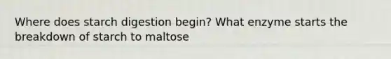 Where does starch digestion begin? What enzyme starts the breakdown of starch to maltose