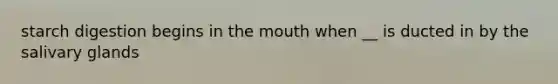 starch digestion begins in the mouth when __ is ducted in by the salivary glands