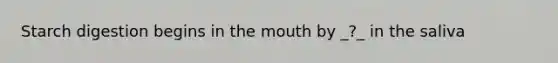 Starch digestion begins in the mouth by _?_ in the saliva