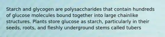 Starch and glycogen are polysaccharides that contain hundreds of glucose molecules bound together into large chainlike structures. Plants store glucose as starch, particularly in their seeds, roots, and fleshly underground stems called tubers