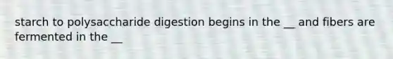 starch to polysaccharide digestion begins in the __ and fibers are fermented in the __