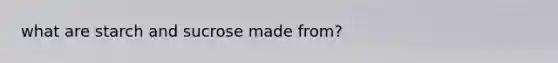 what are starch and sucrose made from?