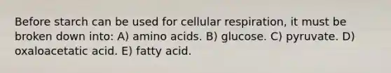 Before starch can be used for cellular respiration, it must be broken down into: A) amino acids. B) glucose. C) pyruvate. D) oxaloacetatic acid. E) fatty acid.