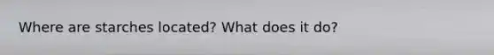 Where are starches located? What does it do?