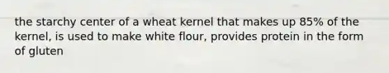 the starchy center of a wheat kernel that makes up 85% of the kernel, is used to make white flour, provides protein in the form of gluten