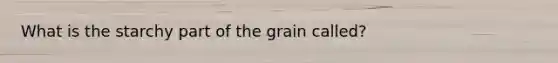 What is the starchy part of the grain called?