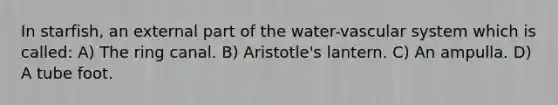 In starfish, an external part of the water-vascular system which is called: A) The ring canal. B) Aristotle's lantern. C) An ampulla. D) A tube foot.