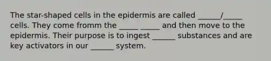 The star-shaped cells in <a href='https://www.questionai.com/knowledge/kBFgQMpq6s-the-epidermis' class='anchor-knowledge'>the epidermis</a> are called ______/_____ cells. They come fromm the _____ _____ and then move to the epidermis. Their purpose is to ingest ______ substances and are key activators in our ______ system.