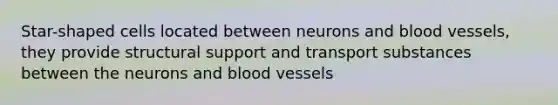 Star-shaped cells located between neurons and blood vessels, they provide structural support and transport substances between the neurons and blood vessels