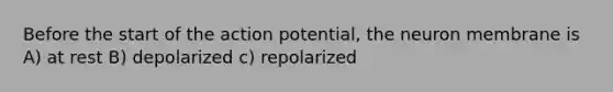 Before the start of the action potential, the neuron membrane is A) at rest B) depolarized c) repolarized