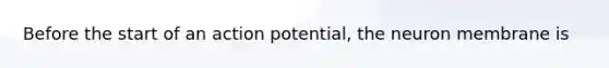 Before the start of an action potential, the neuron membrane is